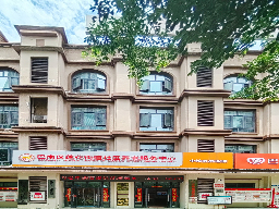 快速发展阶段