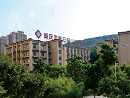 业务拓展阶段